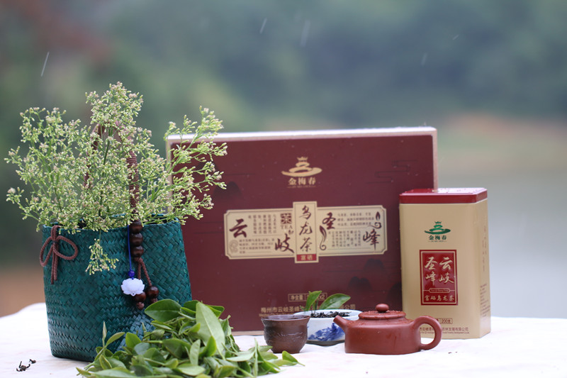 我县2款茶叶被评为2020年广东十大好春茶