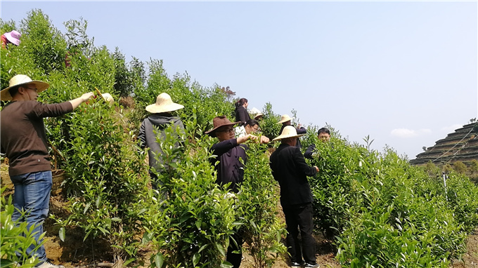 基地风采