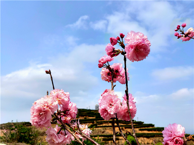 基地风采