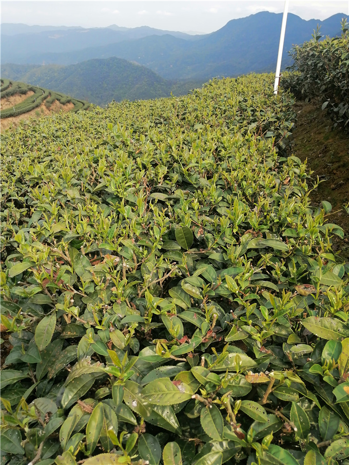 基地风采