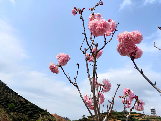 基地风采