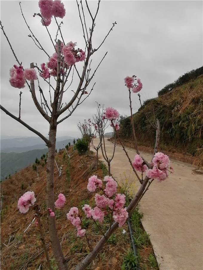 基地风采