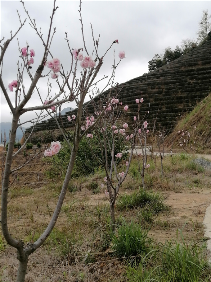 基地风采