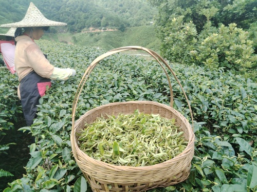 基地风采