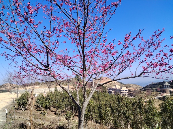 基地风彩